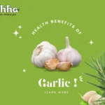 The Ancient Power of Garlic: Historical Uses and Modern Health Benefits